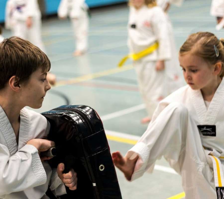 tae kwon do childrens classes